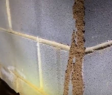Termite Shelter Tube RVA Pest Control VA